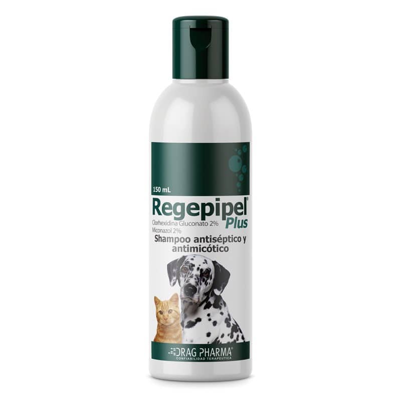 Regepipel® Plus