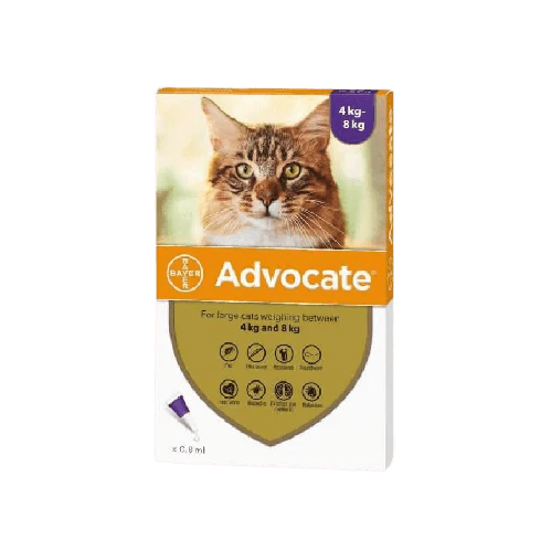 Advocate Gatos