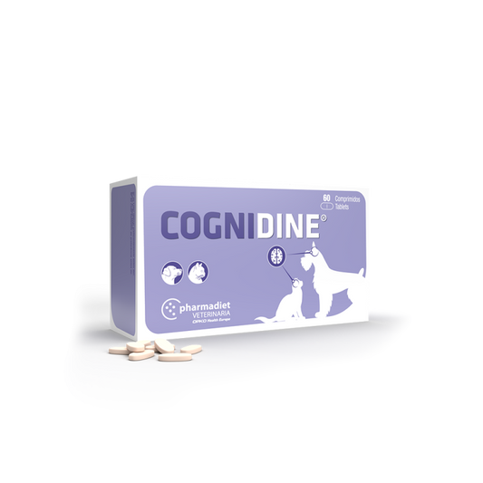 COGNIDINE 60 COMP