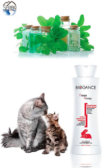 Biogance Shampoo Fleas Away Gato